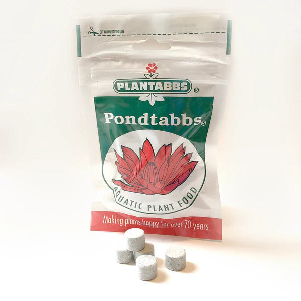 Pond Plant | Fertilizer Tablets