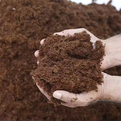 Peat Moss | Soil Amendment