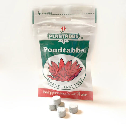 Pond Plant | Fertilizer Tablets