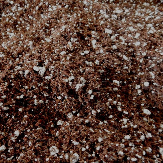 Premium Soilless Mix | Planting Medium